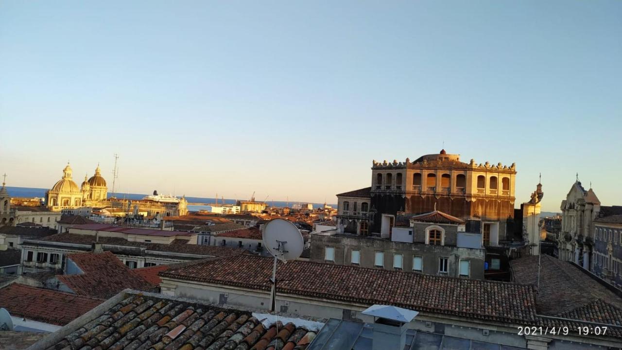 卡塔尼亚Sogno Etneo住宿加早餐旅馆 外观 照片